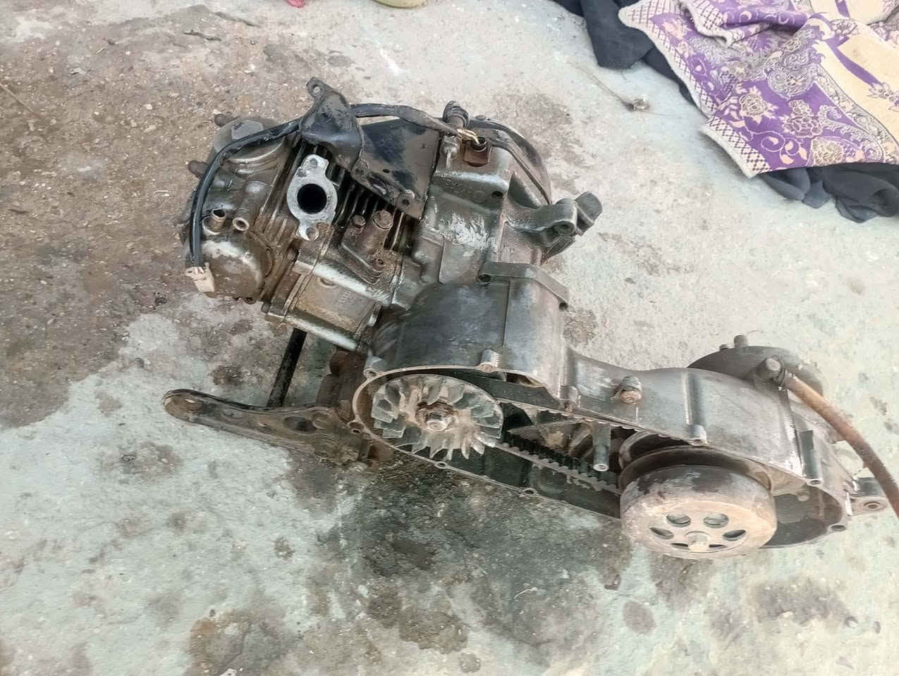 للبيع مكينه ماكس شغاله


**إذا كنت صاحب هذا الإعلان وتريد حذفه لأي سبب، رجاءا أرسل رسالة إلى الدعم الفني**