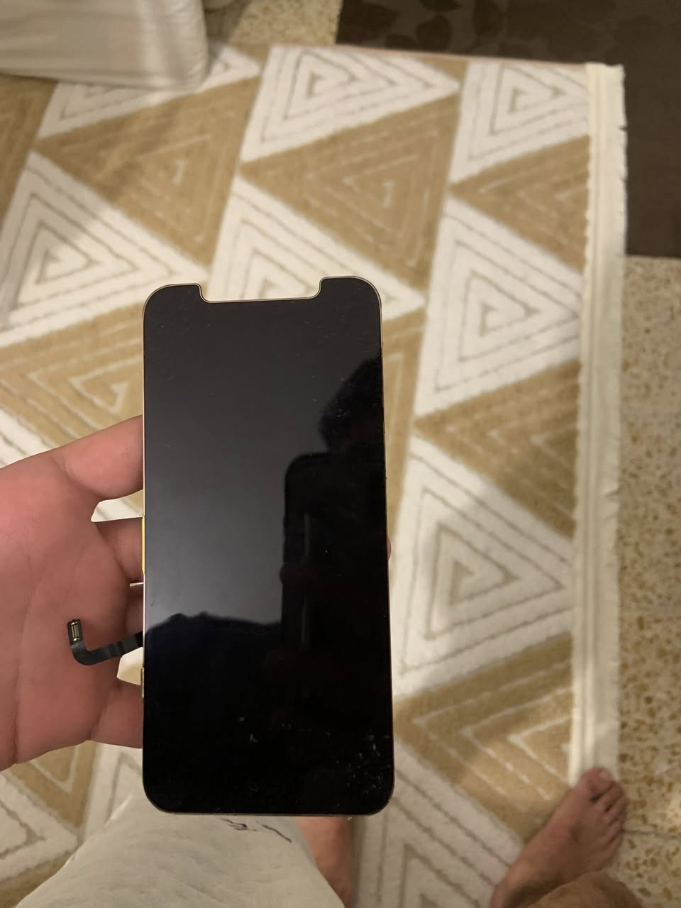 السلام عليكم اخوان 🤝

ايفون 12عادي للبيع📱

ذاكره 128gb💽

بطاريه 75‎%‎🔋

لون نيلي ⚫️

الجهاز زلغ مابي كلش نضيف كامرات الجهاز تشك شك كلش قويه و تصوير عالمي ✅

الجهاز مستبدل شاشه تفصيخ من جهاز ثاني و تاخذ الجهاز تفحصه وين متريد اذا مو اصليه مال جهاز فلوسك ترجع كامله اني بيدي فتحتهة من جهاز وتر بروف و شديتهة و الشاشه القديمه موجوده انطيهة ويا الجهاز شغاله طبيعي بي بيهة خط بالصفحه  و الجهاز بطاريه بلاديه غير مستبدله ✅

المشكله الوحيده الي بالجهاز مرات البصمه مال وجه تعلك بس هيه تشتغل طبيعي هاي كتبتهة عن الحلال و الحرم✅

سعر الجهاز 280💸💸

مكاني بغداد الدوره📍
للستفسار اكثر تفضلو خاص او الاتصال ع الرقم ✅

***********

الرقم بي واتساب ✅

اسف على الأطاله و شكراً🌹🌹
