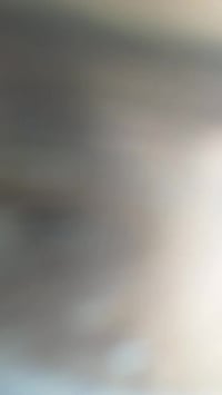 ستوته • بلا أوراق • كربلاء