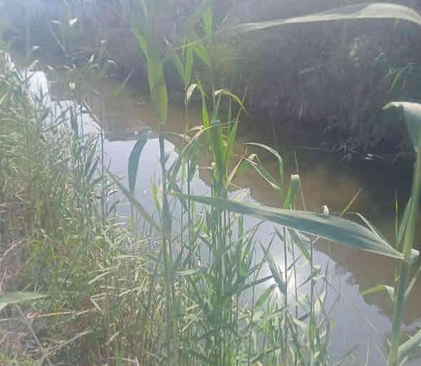 السلام عليكم قطعه للبيع مساحه 1075متر طابو زراعي يدخل اسمك سهم بالطابو مسيجه عله نهر وشارع تبليط عرض 10متر كل الخدمات متوفر وتحتوي عله عديد من  نخل بانوعه العنوان ابو الخصيب محيله تبعد عن الشارع السايدين تقريبن 500متر سعر260مليون وبي مجال قليل ***********
