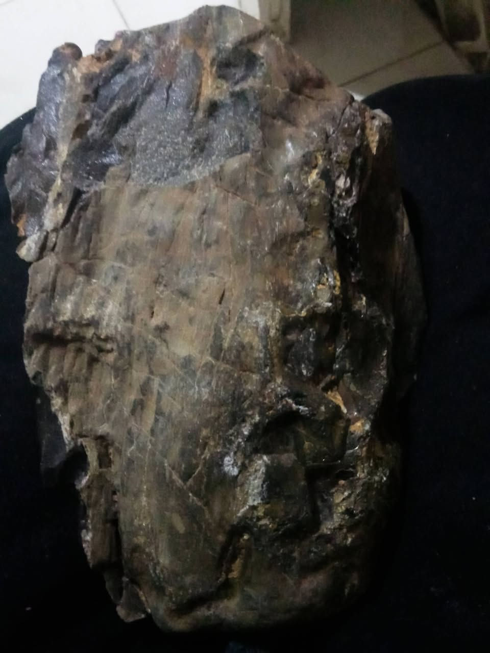 حجر صخر


**إذا كنت صاحب هذا الإعلان وتريد حذفه لأي سبب، رجاءا أرسل رسالة إلى الدعم الفني**