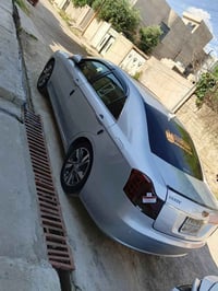 امكراند • ٢٠١٣ • فول مصبوغة