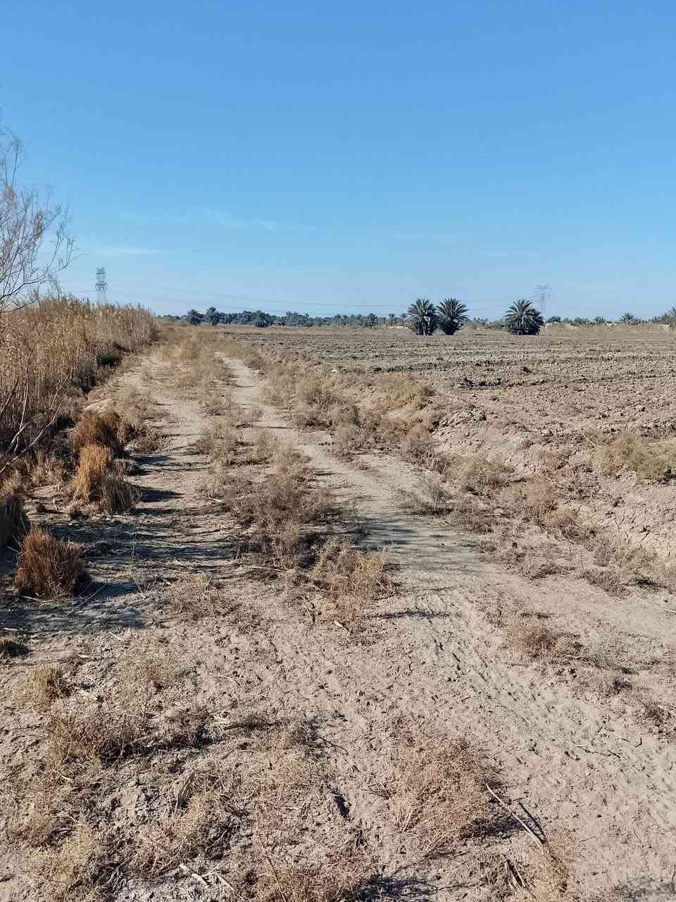 سلام عليكم عرض جديد ✨🚩
قطعه ارض المساحه 24دونم 🤠🚩للبيع 
طابو زراعي سند 25✨🌷
كلها باسم شخص واحد ✨🚩
الخدمات كلها متوفره بيها ماء وكهرباء ✨🚩
العنوان طريق السده محاويل السايدين الجديد تبعد عن الشارع العام السايدين تقريبا 600متر 🤠✨
ارض زراعيه حلوه✨🌷
وكلها محوطه بنهران ✨🚩
تنباع كلها او نص منها او مفرد ✨🚩كلشي بالك يصير دونم او دونمين حسب الي تريده يصير ✨🚩
والسعر مناسب ✨🤠
‏‪***********‬‏
اتصل او تفضل خاص✨🚩
🚩

ملاحظه شعندك دوانم للبيع تفضل خاص ✨🚩
بمنطقه الحصن او منطقه الناصريه او ابو عصافير او المسيب  او السده ‏‪***********‬‏
