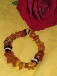 سوار كهربائي • توصيل