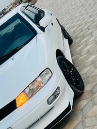 سيفيه • ١٩٩٥ • رقم بابل