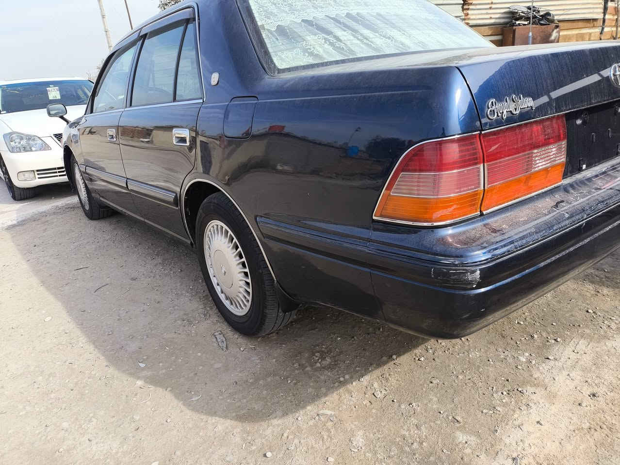 رأس ثور مكفوله من العيب الشرعي رقم بصرة جاهزة السعر 100 للاستفسار ***********
