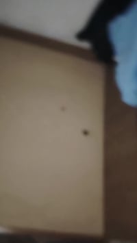 تخت نفر واحد جديد تريد تعال خاص 07829005401