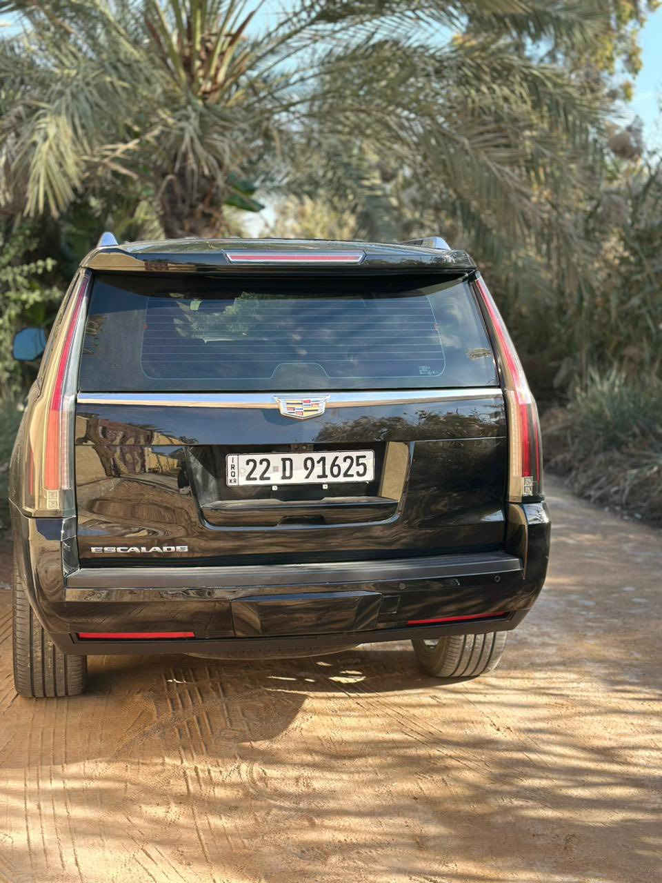 سلام عليكم كديلاك البيع موديل 20/السياره مفوله مواصفات  بنوراما /دواسات كهربائيه/تحكمات ستيرن /حساسات جانبيه او اماميه وا خلفيه /السياره مكفوله كفاله عامه فقط بيه بارد في الدعاميه الأماميه من جهت اليسره وا رصاعت 2في القماره/السياره مغلفه ppf/السياره رايده 430وا بيه مجال مكاني كربلاء الرقم ***********/السياره احله من الصوره او سوناره موجود متواجد خاص
