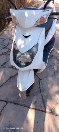 دراجة سكنس • فحل ياباني • ناحية العباره