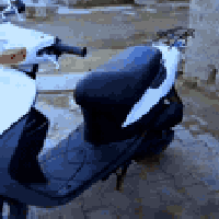 ساسوكي • دراجة نارية • خفاش