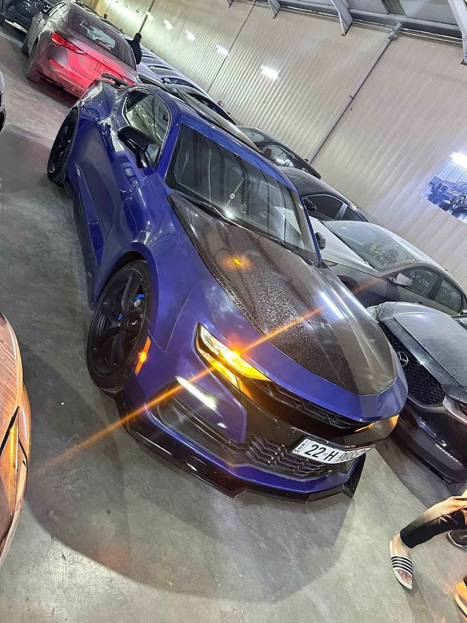 نقد كاش او تقسيط حسب الإختيار


**إذا كنت صاحب هذا الإعلان وتريد حذفه لأي سبب، رجاءا أرسل رسالة إلى الدعم الفني**