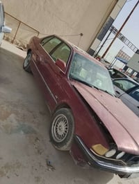 740 تفصيخ • دعامية امامية • زبير