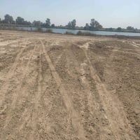 دونم • الفتاحيه • كاع ثامر ال عسكر