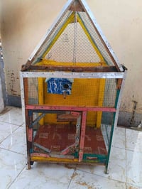 قفص بلابل • طيور زينة