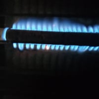 طباخ • نضيف