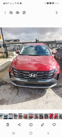 توسان • ٢٠٢٥ • بدون صبغ