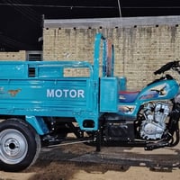 ستوته للبيع أصولي07700464920