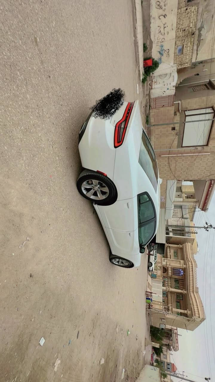 جارجر 2018
رقم شمالي 
سياره وارد كندي كفاله حتى دعاميات كفاله 
ماشيه قليل
سعر 235
***********
