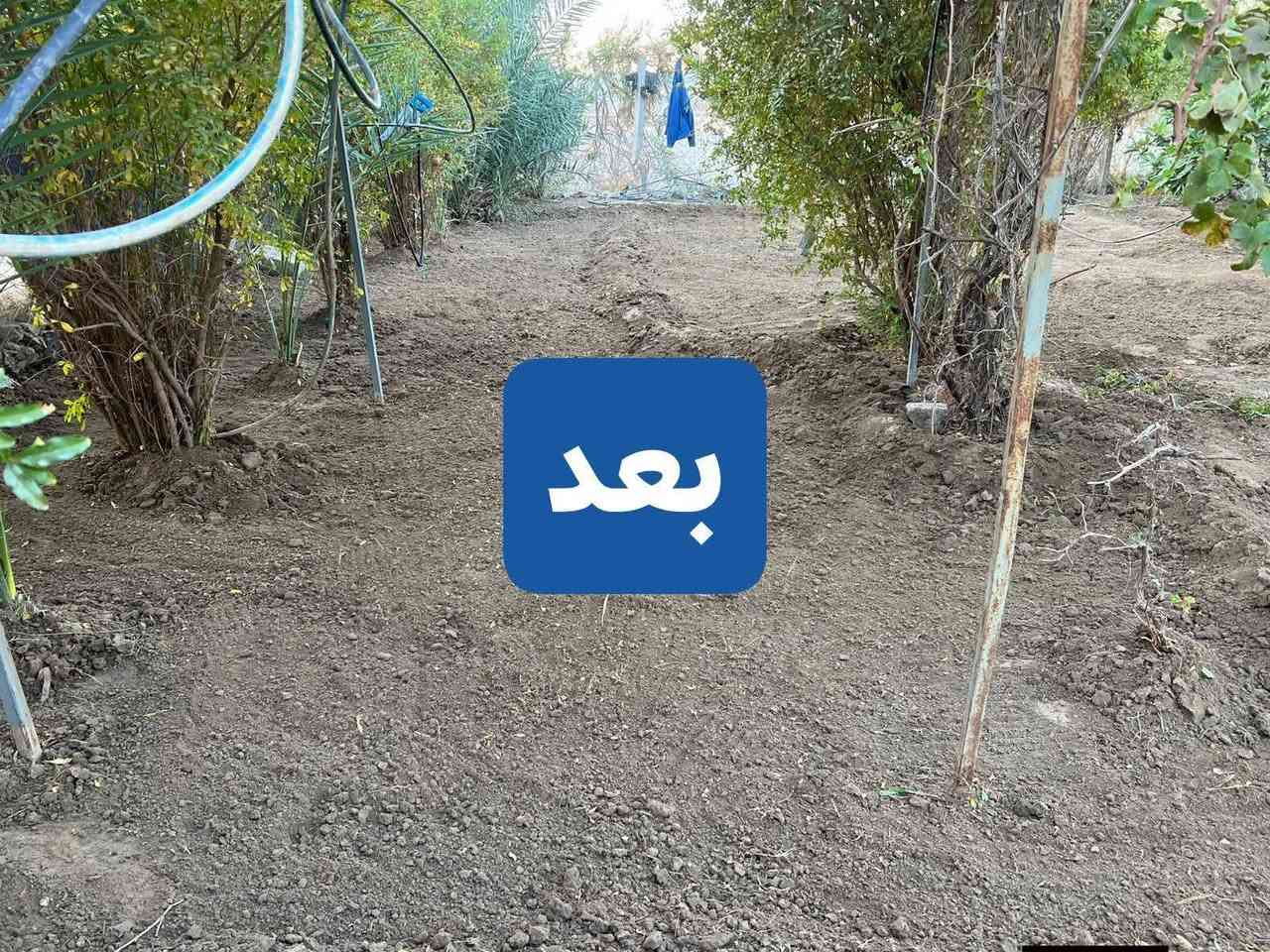 سلام عليكم رمضان كريم اني اشتغل على باب لله وهذا شغلي
ألي عنده حديد فوك سطح او تنضيف اجي اخذ الحديد وانضف المكان واخذه بسعر مناسب

واشتغل حدايق مثل الي بل صور شغلي هاذ
اخذ منك حديقه غابه اسلمك ياها
على ماتريد

عندي عائله وعلى باب لله 
جزاكم لله خير 
رقمي 
***********
عنواني رمادي
