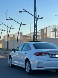 كورولا • ٢٠٢٤ • رقم اربيل