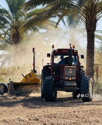 فيات • نص اوتوماتيك • كفالة عام