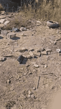 قطعه أرض للبيع 200متر في منطقة الرشيده ***********
