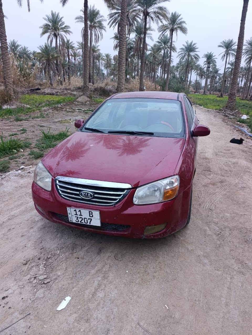 اسبكترا 2008 باسمي رقم بغداد بدون غرامة جاهزه صبغ احزام جماليه مكينه خيط بخار حادث جنطه مواصل للحوض مكان كربلاء طويريج *********** السعر 75 بيها حك الجيه
