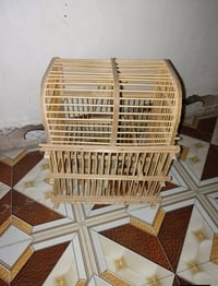 اعيد نشر • وعود كاذبة