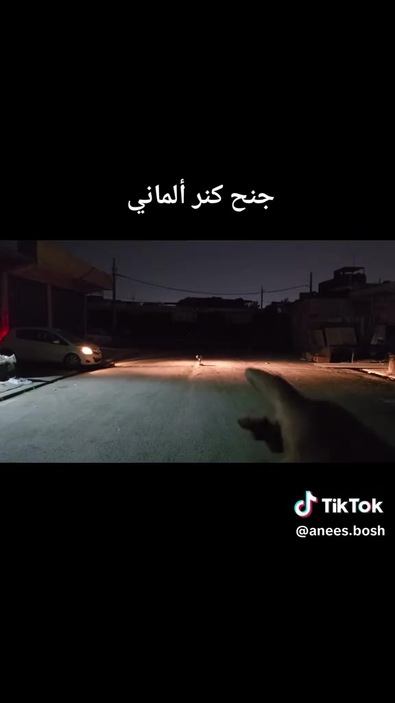 السلام عليكم هورنات بوش جنح كنر مطرز الماني هاي التفاصيل ب الفديو مشتغلهن يم البطل انيس بوش اربيل
سعرهن ٥٠٠وبيهن مجال 
***********
