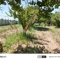 الراشديه بغداد • ١٠٠٠م • قابل للتفاوض