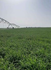 ٧٠ دونم • مرشة محورية ٣ أبراج • بئرين