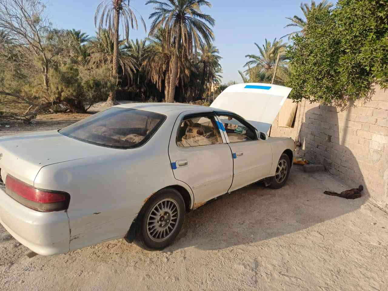 كرستا ٩٣ مكفوله اصوليات وعيب شرعي راعيها بالبصره مداور مباشر سعر ٣٥ وبيه مجال بسيط مكان ناصريه الفهود,***********
