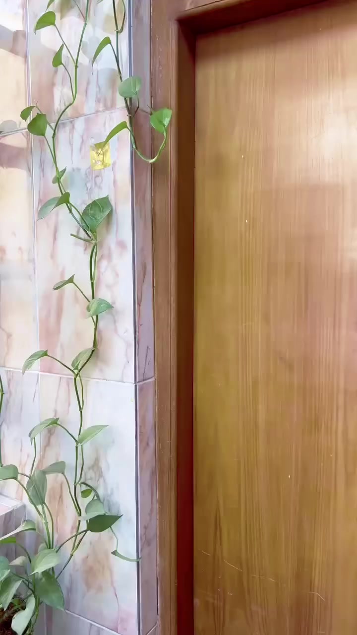 العرض الاقوى😍
افضل هدية ممكن تهديهة البنتج ع العيد😍👼🏻

التوصيل مجاني لجميع محافظات العراق في ايام رمضان😍🚚
فستان بناتي يلبس عمر ٥-٦ سنة 🤩
متوفر بسعر ٢٠ الف فقط😍
خامة ماستر كوالتي درجة اولى👗✨
متوفر بلونين جوزي وبيجي🟤⚪️

متوفر توصيل لكل العراق🚚
للحجز والاستفسار مرتيلتنا على الصفحة📩
واتساب ***********
