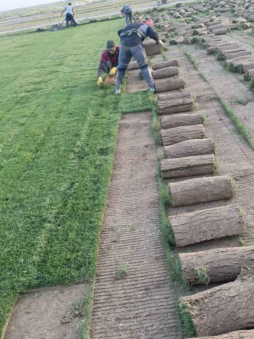 من رخصة الادمن المحترم 
ثيل بأنواعه كافه واصل بالفين 
***********
***********
