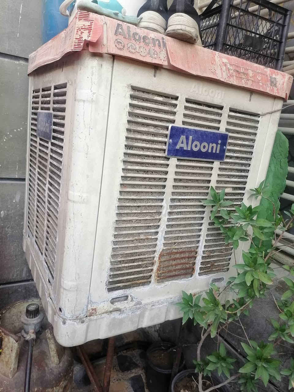 نظيفات مستعجل على بيعته مكانه بغداد


**إذا كنت صاحب هذا الإعلان وتريد حذفه لأي سبب، رجاءا أرسل رسالة إلى الدعم الفني**