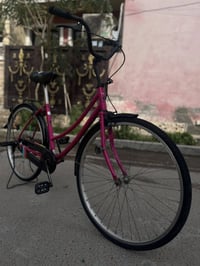 باسكل بناتي • وردي • موديل ٢٠١٠