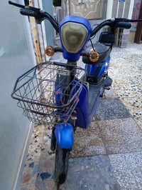 عاطلة • ملف • قفل ٧٥