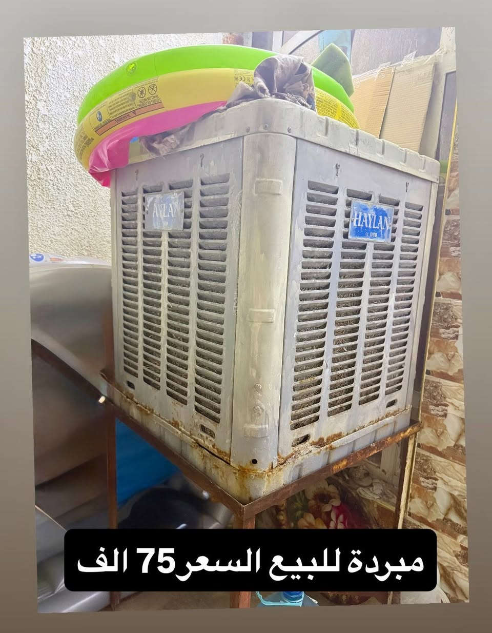غراض للبيع مكاني حي الجوادين للاستفسار خاص


**إذا كنت صاحب هذا الإعلان وتريد حذفه لأي سبب، رجاءا أرسل رسالة إلى الدعم الفني**