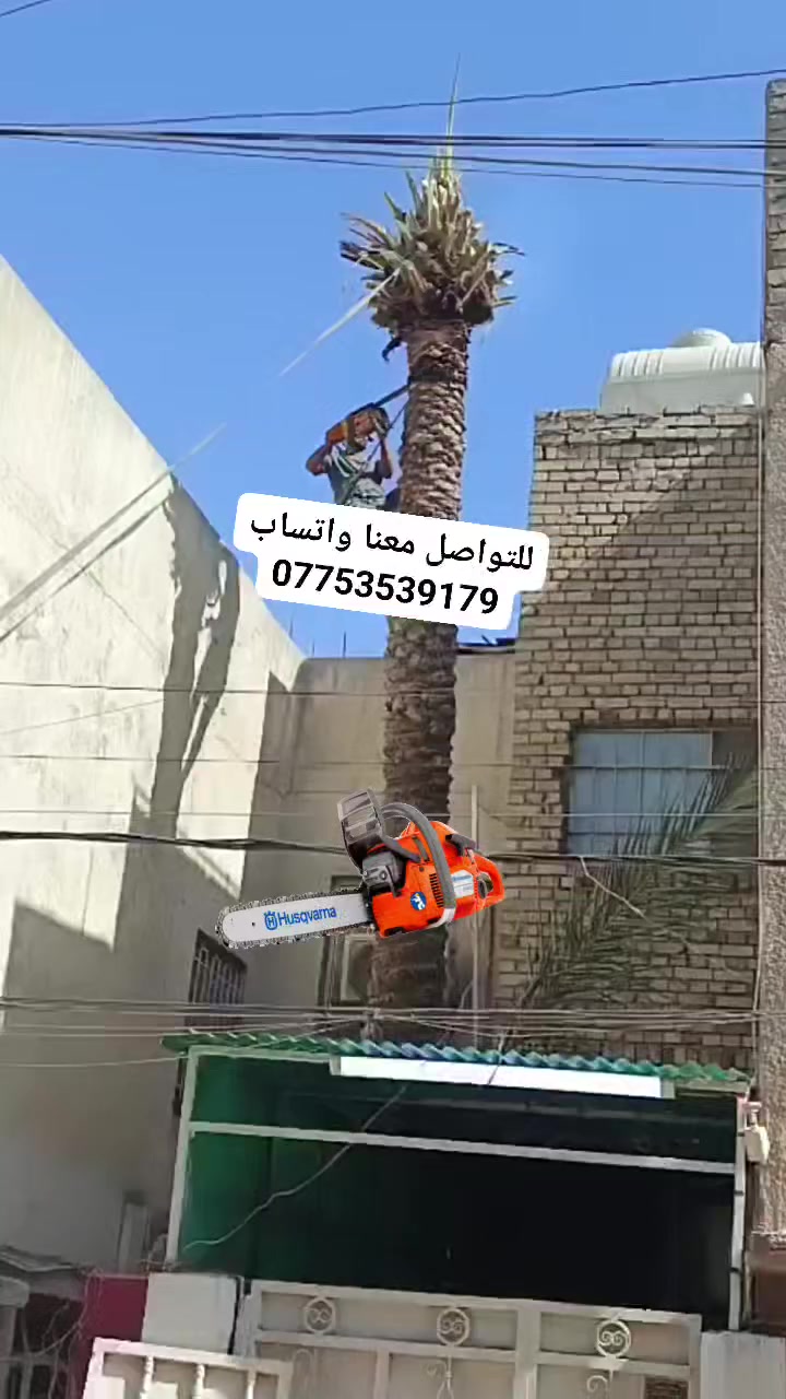 السلام عليكم اخوان أي شخص عنده تكريب نخل وتقليم الاشجار اوقطع نخل يتواصل وياي واني  خادم ولاتفكر بالسعر رقمي موجود بي واتساب *********** @الجميع
