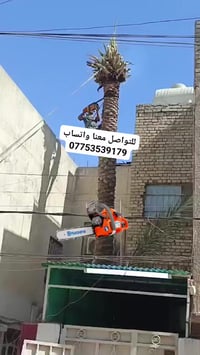 اخوان أي شخص عنده تكريب نخل وتقليم الاشجار اوقطع نخل يتواصل وياي واني ...