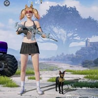 ماوس • حساب كونكر • الدورة ابو دشير