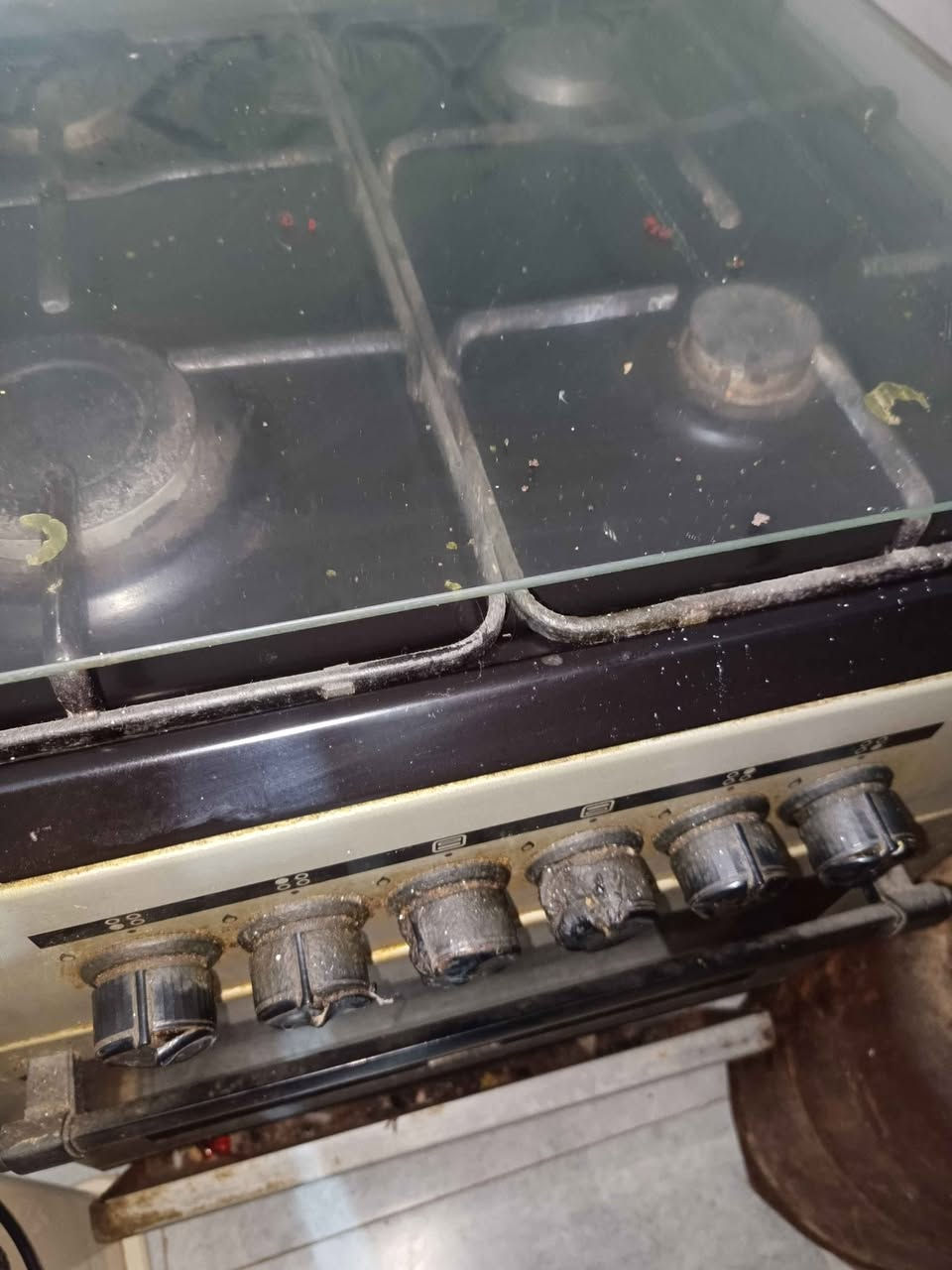 طباخ تربع مشاعل مستخدم شغال والفرن شغال سعره 25
 اوفن مستخدم شغال 100/100. السعر  25 عمارة, ميسان


**إذا كنت صاحب هذا الإعلان وتريد حذفه لأي سبب، رجاءا أرسل رسالة إلى الدعم الفني**