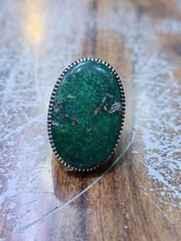 محبس رضوي • تفاحي • السماوة