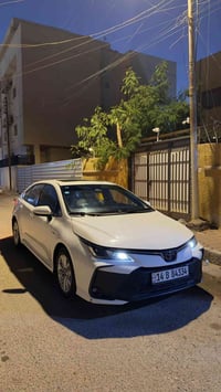 جامعة المعقل • كورولا ٢٠٢٥ • المشراق الجديد