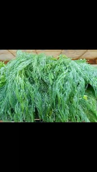 صلو على الحبيب قلبك يطيب  بسم الله ماشاء الله خيرات اليوم الاربعاء 202...