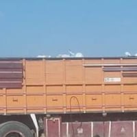 قجم ابو البرغي • ناصريه الشطره