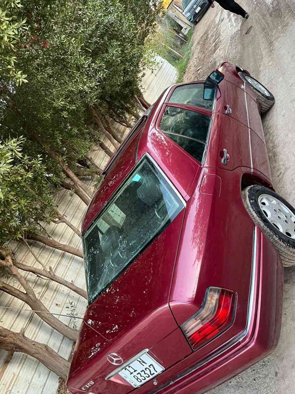 موديل 91
مكفولة من الضربة والمعجون فقط صبغ جمالية
بيبي شبح
محركE320 خراطيم
دبل فيت بم
دبل مروحة
ويل تفاحه
تايرات جدد
كشنات جلد كهرباء
تبريد تدفئة شغالات
تدفئة كشنات شغال
صدر جديد وارد
فتحة سلايد كهرباء
اريد كهرباء
مري كهرباء
جام 4بوب كهرباء
تچاوي قلاب

كلشي بيها اصلي وارد يابان
السعر 110 وبي مجال

الاستفسار ***********
