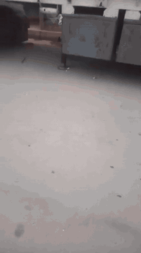 عربانة للبيع شاصي أوربي محدثه عمل شريط 50 الدناكير مثل ماموضح بالصوره السعر الأتصال ع راعيها 
***********
‏‪0772 792 4111‬‏
