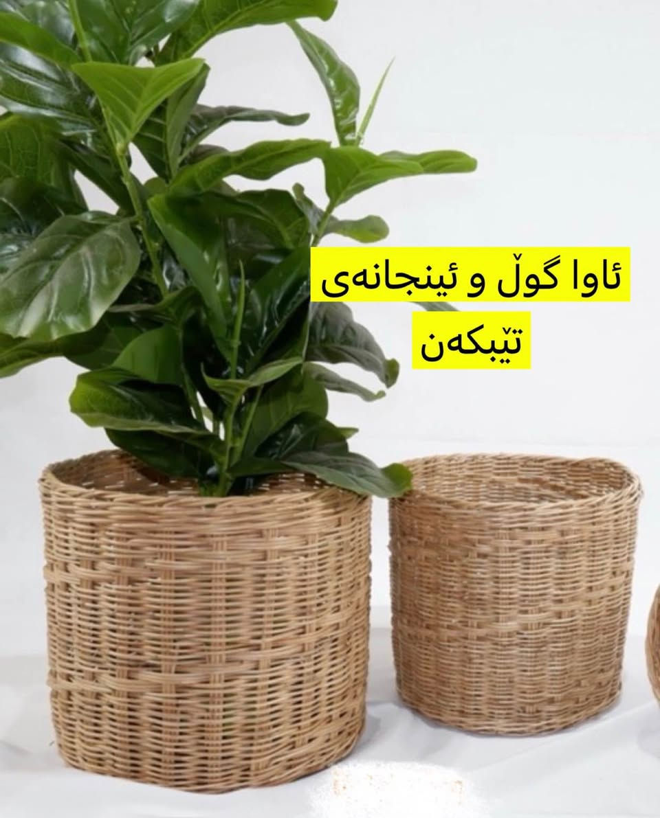 سەبەتەی شووڵی تورکی- مان بۆ هاتەوە بۆ دیزاین و کاری دەستی و جوانکاری یا بۆ پیاسو پەتاتە تیا هەڵگرتن، یا ئینجانەی تێبکە.
بۆکس و حافیزەش یەکاویەکە بۆ ناو سەلاجەو کاونتەرو زەخیرە.. گەورەو بچوکی تیایەو قیاس لە وێنەکاندا نوسراون… گەیاندنیش هەیه
لە سلیمانین السليمانية, العراق


**إذا كنت صاحب هذا الإعلان وتريد حذفه لأي سبب، رجاءا أرسل رسالة إلى الدعم الفني**