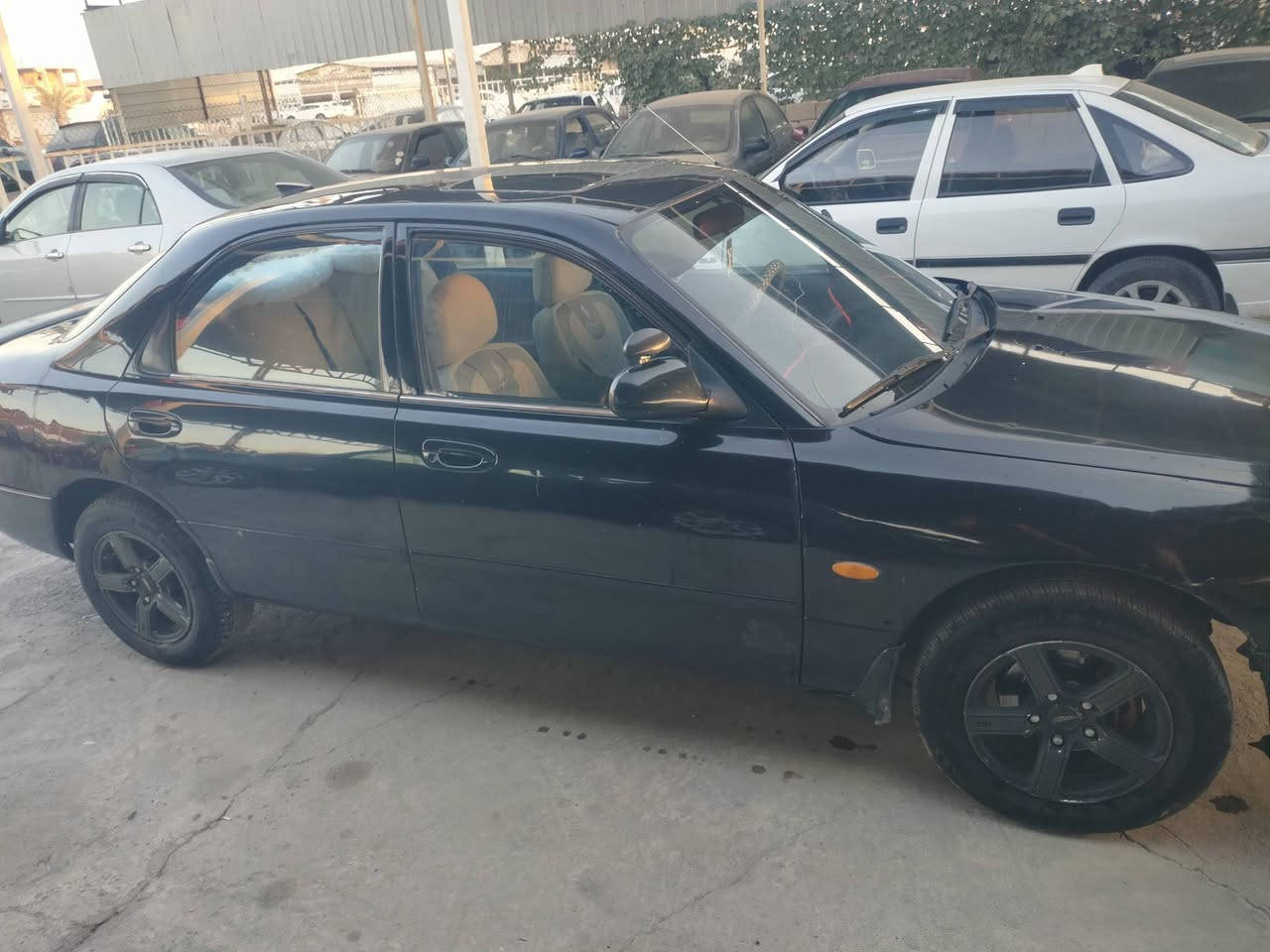 مازده فاصوليه للبيع حجم 226 محرك 4 ياباني شرط محرك وكير صبخ باب الخلف نص وجاملخ بخ بدون ضربه يعني قطعه نص فقط الباقي مابي صبخ شرط الطخم وتيات جديد عليها اربعا رقم الماني نينوئ سنويه عضم تحويل من شرعي مكان معارض  برطله سعر (33) رقم الهاتف ***********
